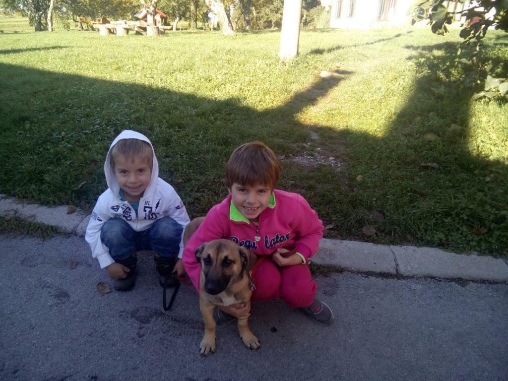 Janezinovi House Guest House Ratecevo Brdo ภายนอก รูปภาพ